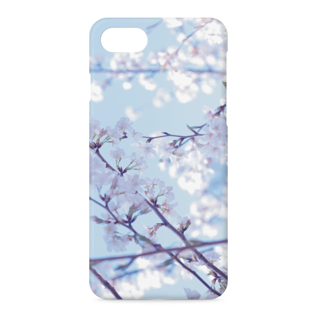青空桜