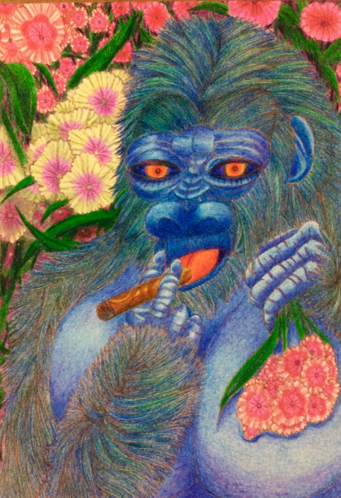 GORILLA!!!