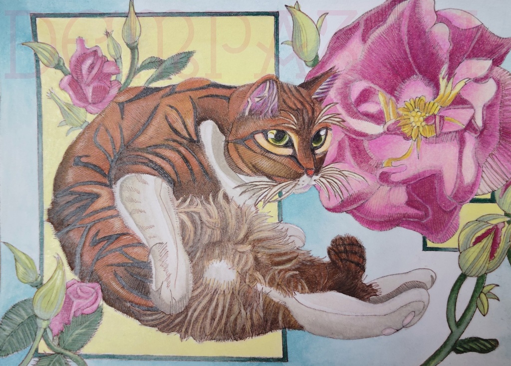 艶感覚ᗩ ᒪᗩ ᗰOᗪᗴ