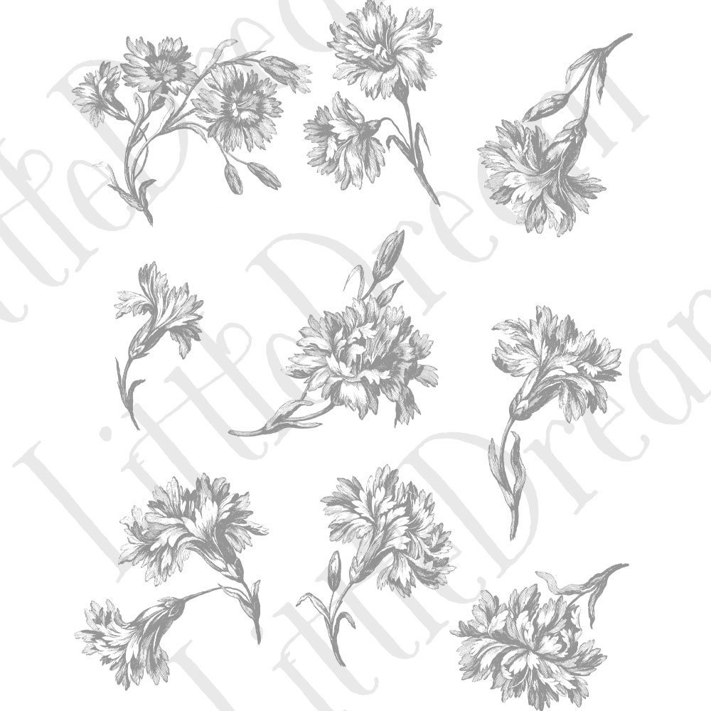 【ベクター】Flowers いろんなお花のクリップアート【png】