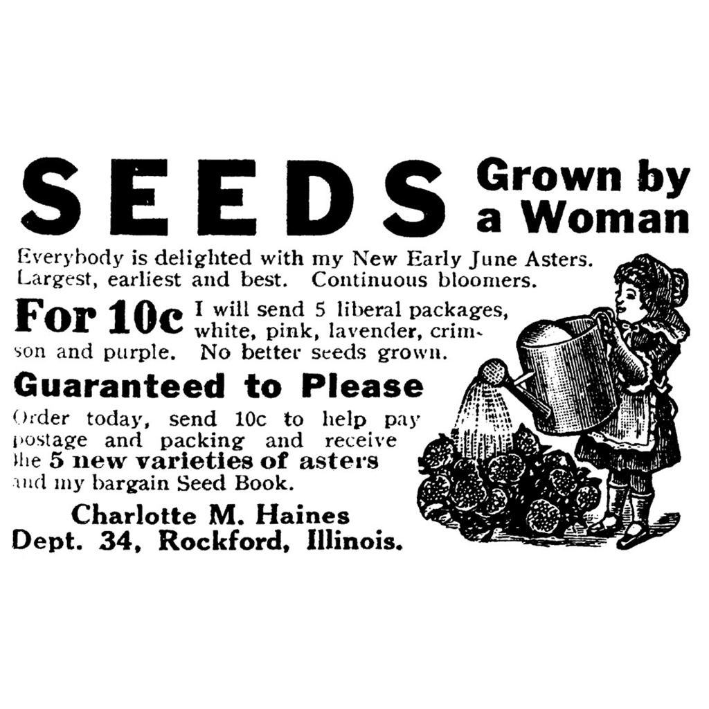 【無料】Photoshopブラシ アドバタイズメント Advertisement【png,abr】