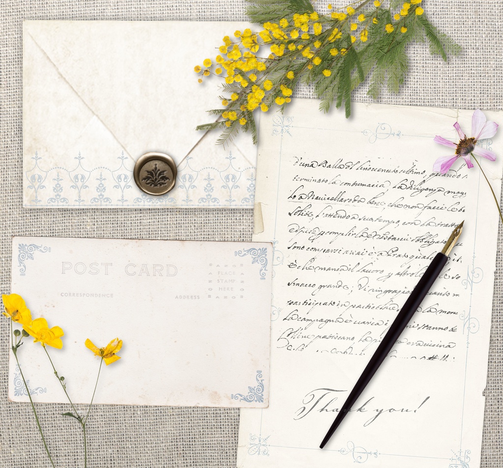 【ベクター】Ornamentframe 装飾フレームとオーナメント【png】