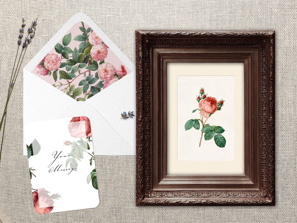 ピエール=ジョゼフ・ルドゥーテ Les Roses バラ図譜 16枚【png】