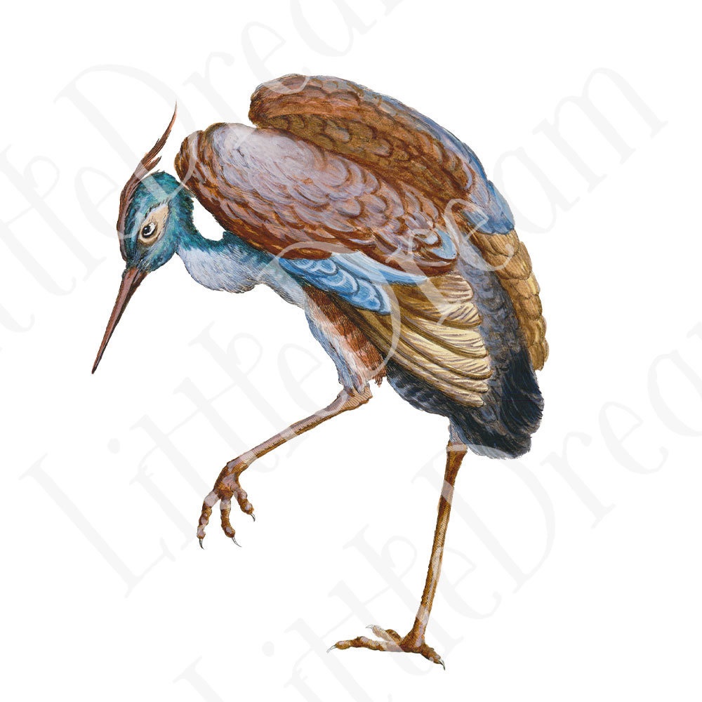 シノワズリの鳥 Chinoiserie bird 96枚【png】
