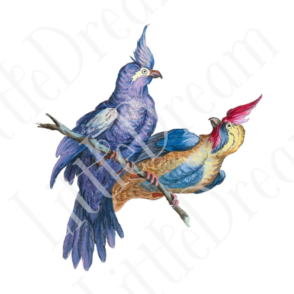 シノワズリの鳥 Chinoiserie bird 96枚【png】