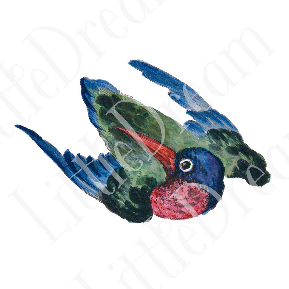 シノワズリの鳥 Chinoiserie bird 96枚【png】