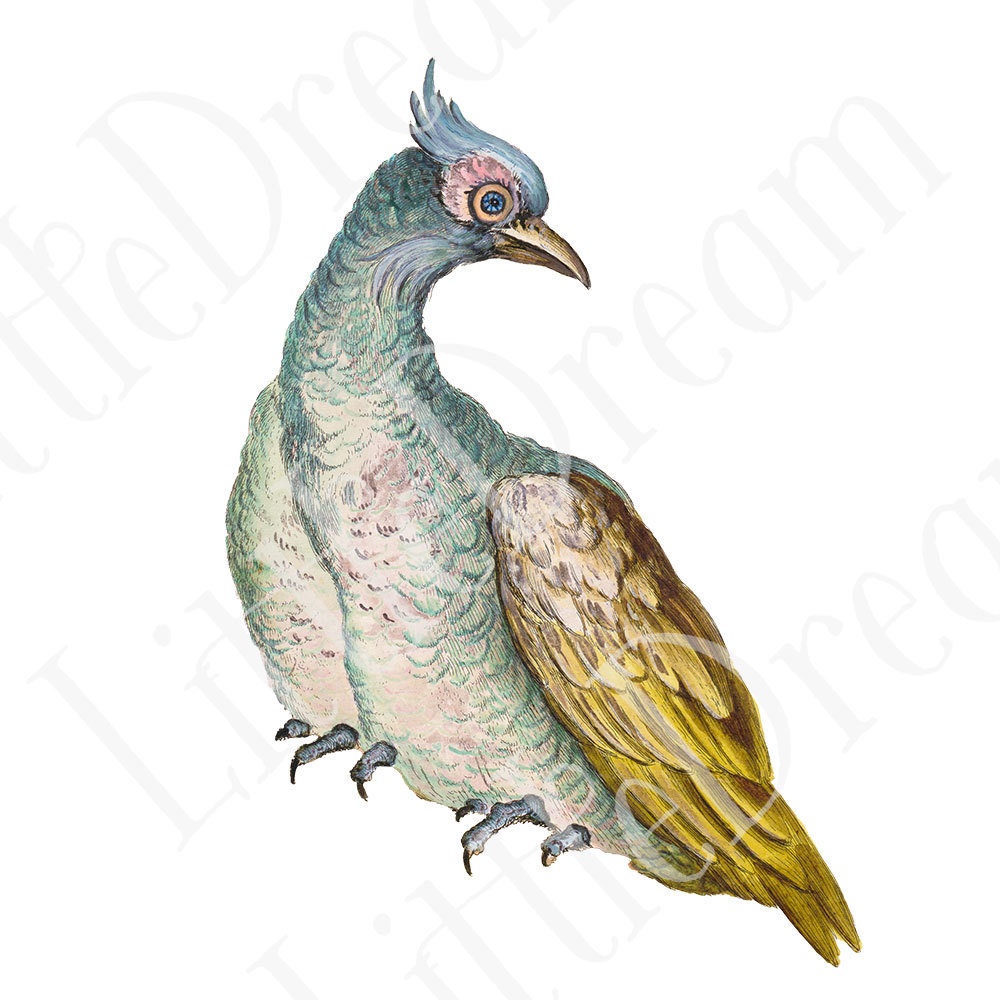 シノワズリの鳥 Chinoiserie bird 96枚【png】