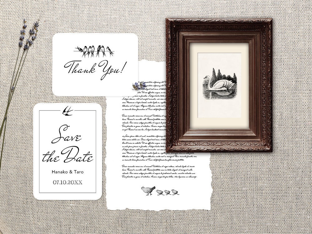 【ベクター】かわいい小鳥 Pretty Bird 12枚【png】