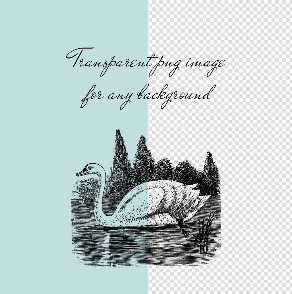 【ベクター】かわいい小鳥 Pretty Bird 12枚【png】