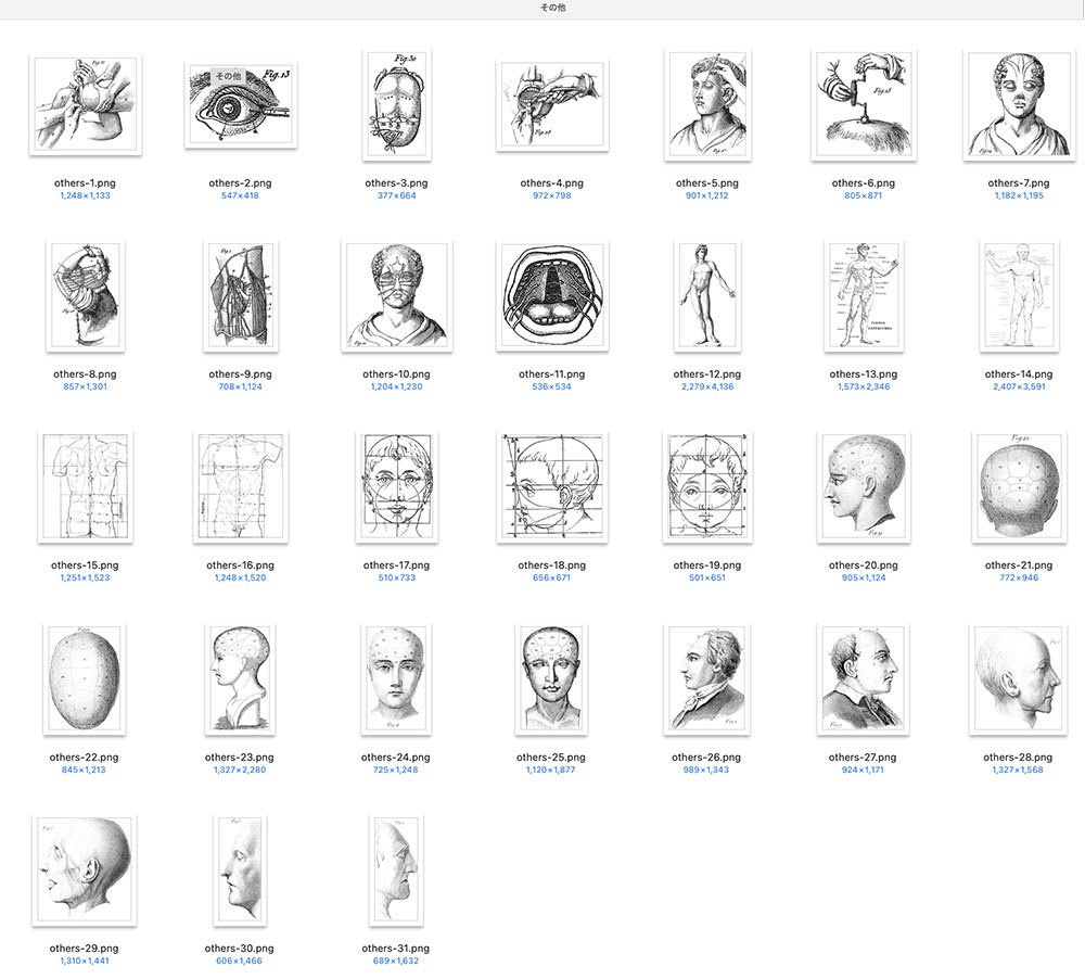 【Photoshopブラシ】VintageAnatomy ビンテージ解剖学 99枚【png,abr】