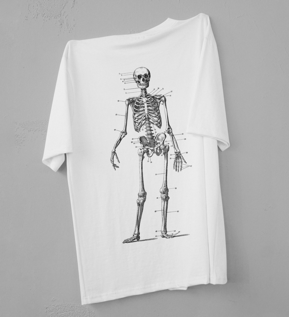 【Photoshopブラシ】VintageAnatomy ビンテージ解剖学 99枚【png,abr】