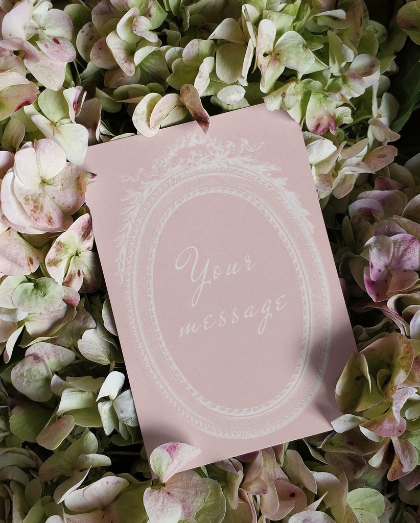 【Photoshopブラシ・パターン】French ornament frame and border フレンチオーナメントフレームアンドボーダー