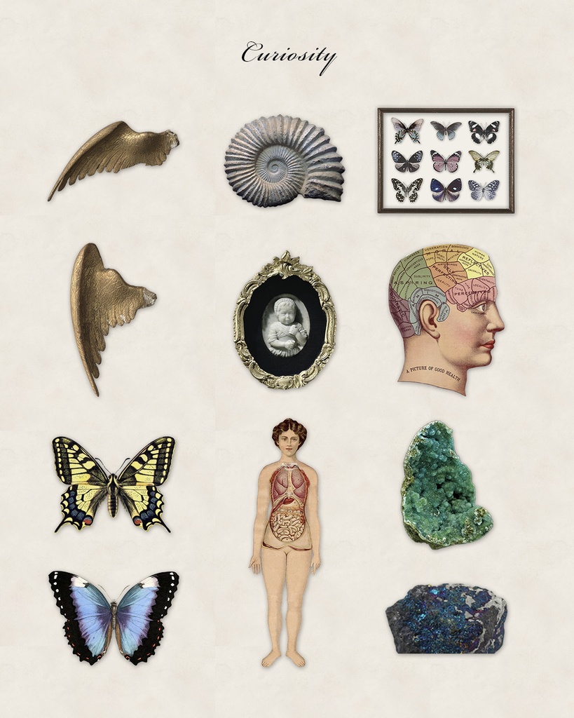 Curiosityデジタルステッカー Digital sticker 60png【For Goodnotes】