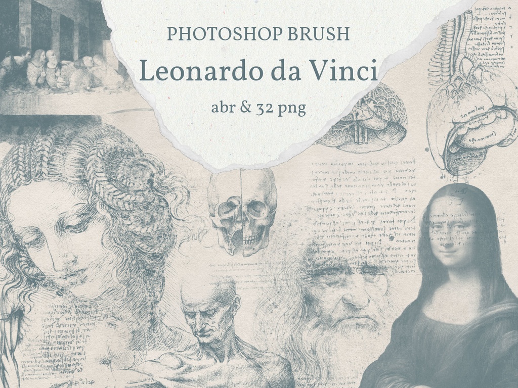 【Photoshopブラシ】Leonardo da Vinci 絵画とデッサン 32sheets【透過png】