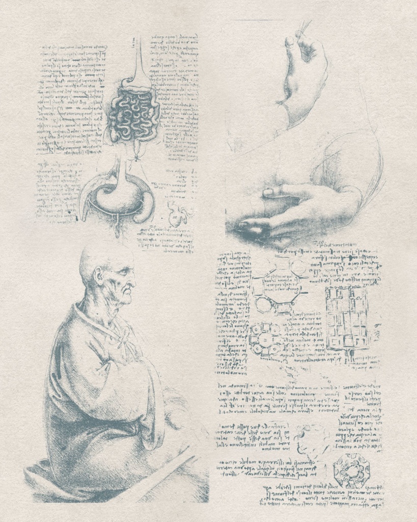 【Photoshopブラシ】Leonardo da Vinci 絵画とデッサン 32sheets【透過png】