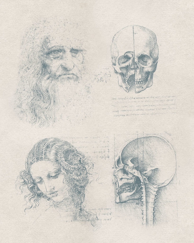 【Photoshopブラシ】Leonardo da Vinci 絵画とデッサン 32sheets【透過png】