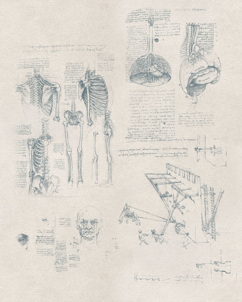 【Photoshopブラシ】Leonardo da Vinci 絵画とデッサン 32sheets【透過png】