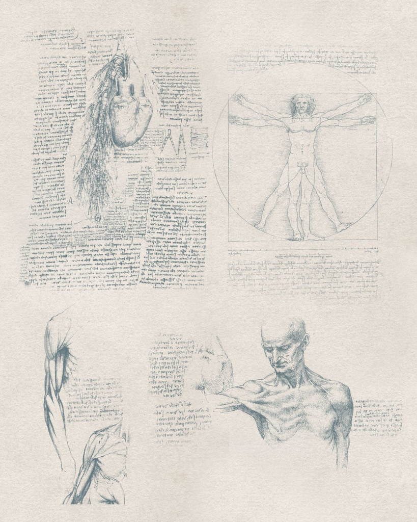 【Photoshopブラシ】Leonardo da Vinci 絵画とデッサン 32sheets【透過png】