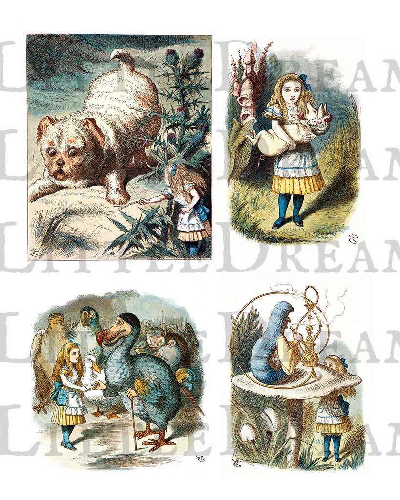 不思議の国のアリス カラーイラスト集 Alice in color illustration【高画質jpgとシームレスパターン】