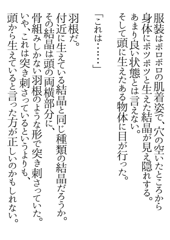 ミミツキのトラベラーズ ~Traveler of MIMITSUKI Human~