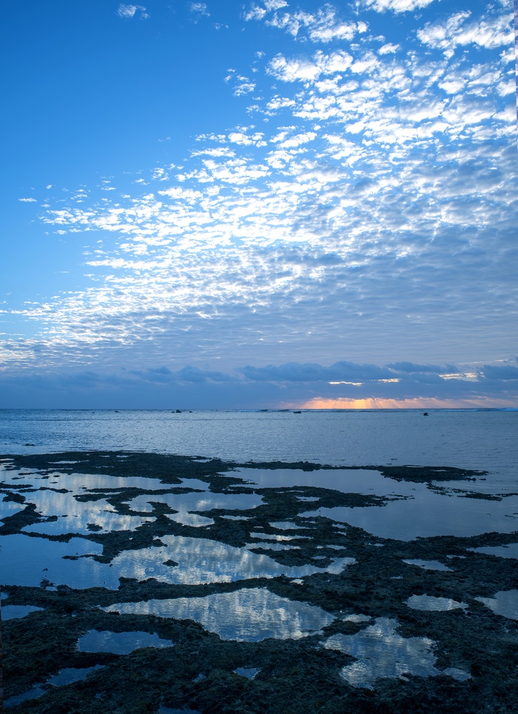 ONENESS 愛華しぐまオリジナルコスプレ写真集