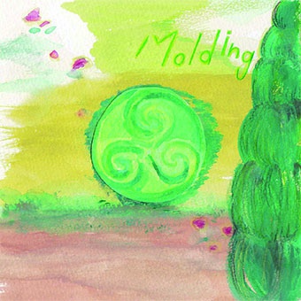 Molding