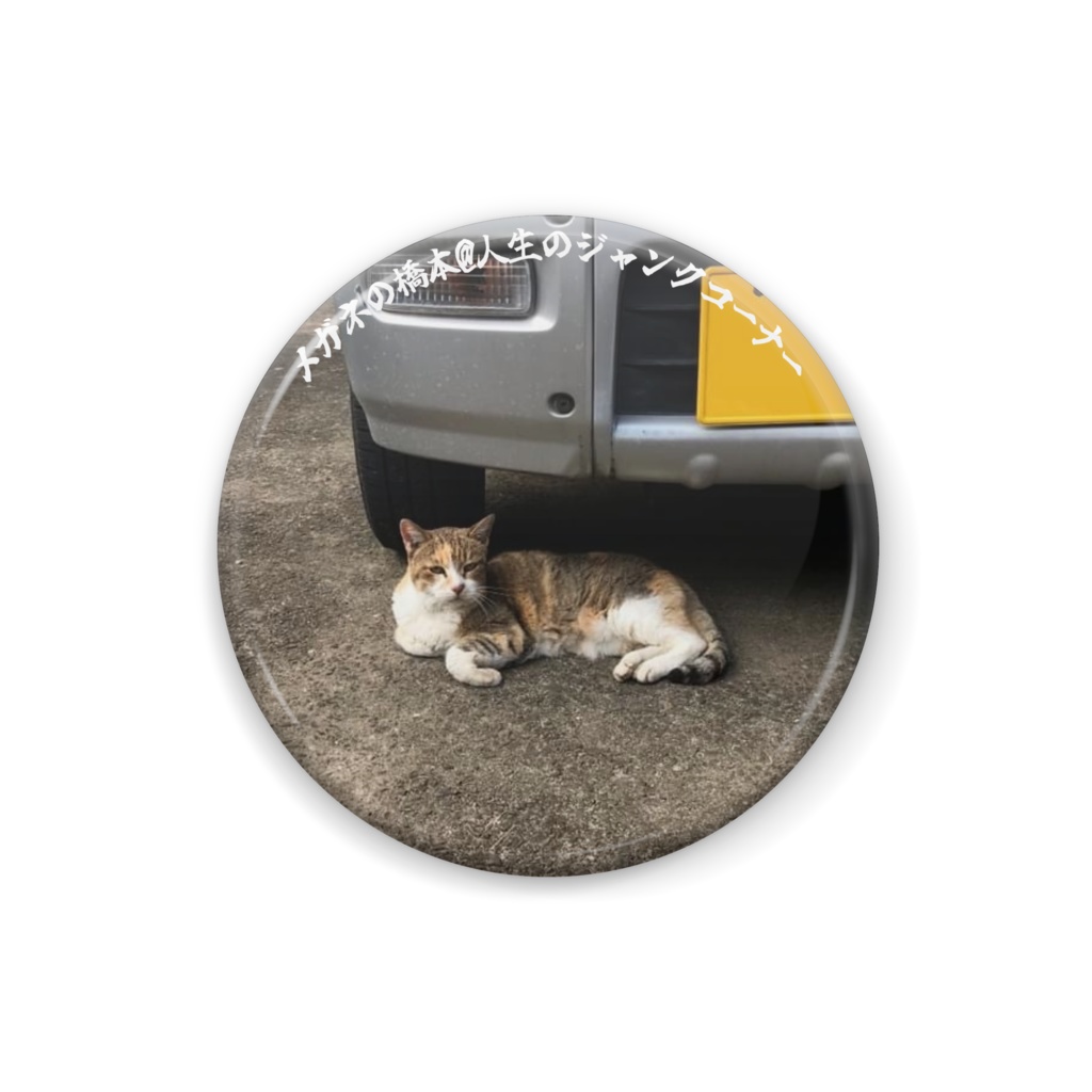 猫缶紀章 2