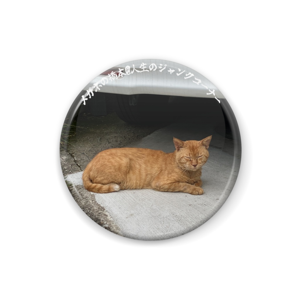 猫缶紀章3