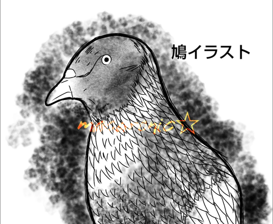 鳩Tシャツ - 鳩の日を添えて