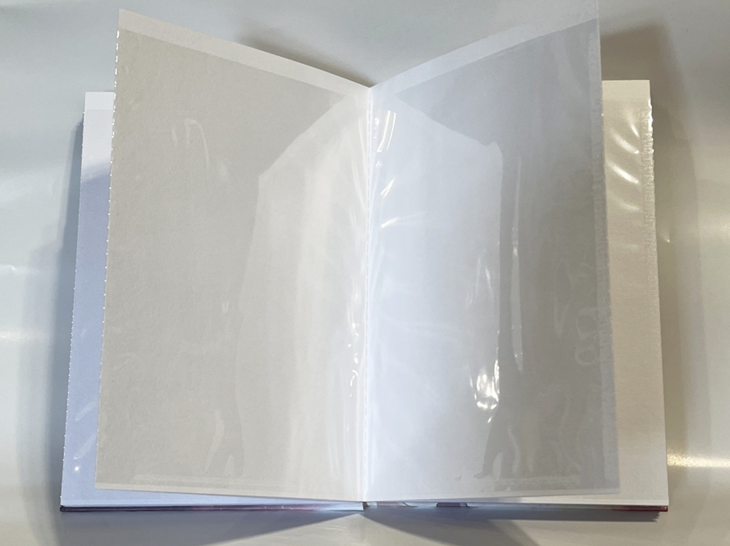 みずか 御朱印帳(巫女バージョン)