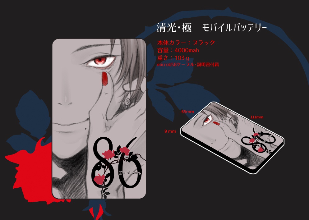 清光極・モバイルバッテリー