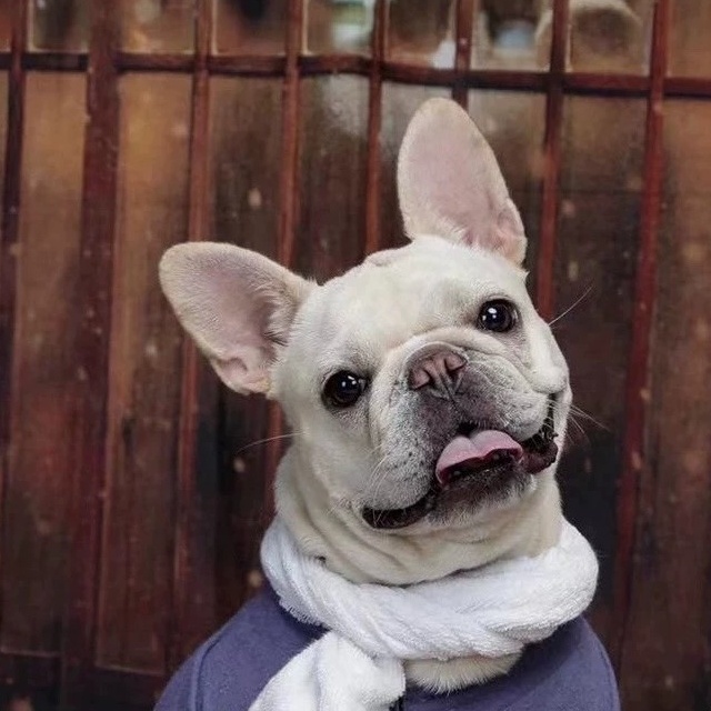 【オーダーメイド】うちの子 ペット 彫刻キーホルダー 革の彫刻 ペットポートレート レザーペインティングキーホルダー ペットの革のキーホルダー ペットレザー彫刻タグ