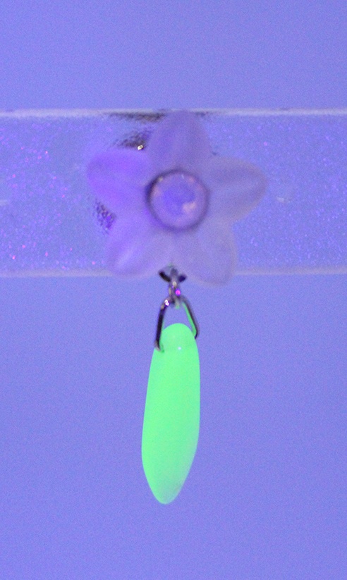 トコシエコウのタックピン