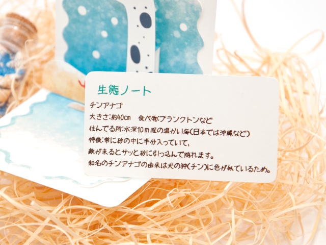 チンアナゴ ミニポップアップカード