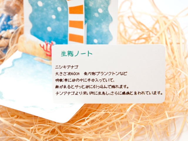 ニシキアナゴ ミニポップアップカード