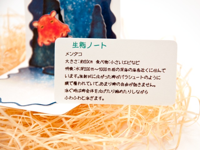 メンダコ ミニポップアップカード