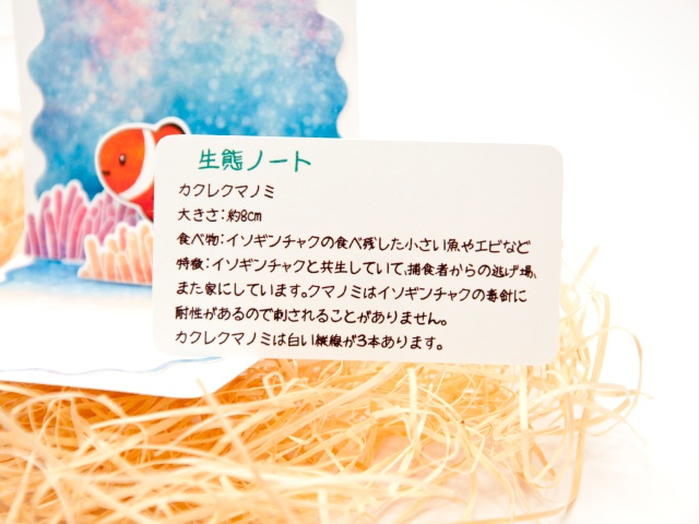 カクレクマノミ ミニポップアップカード