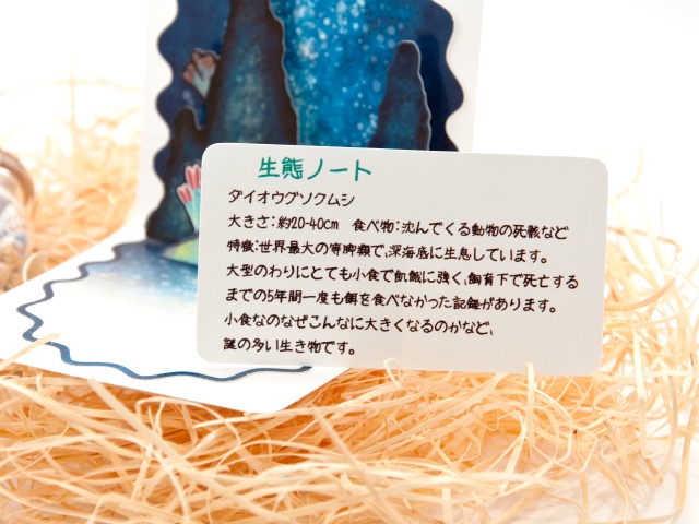 ダイオウグソクムシ ミニポップアップカード