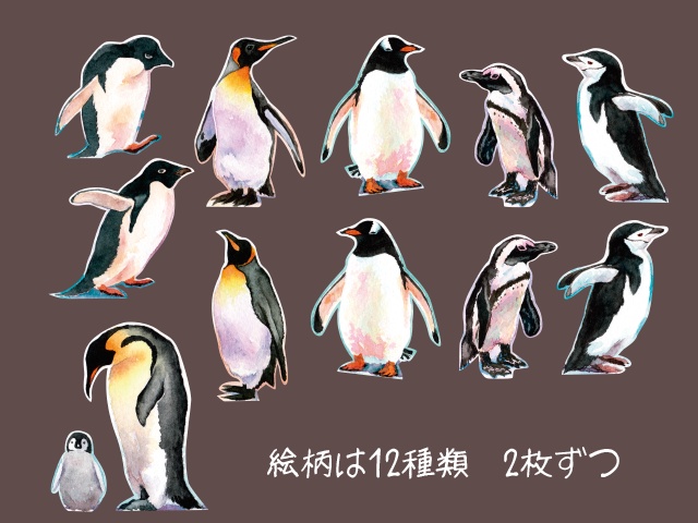 ペンギンフレークシールセット