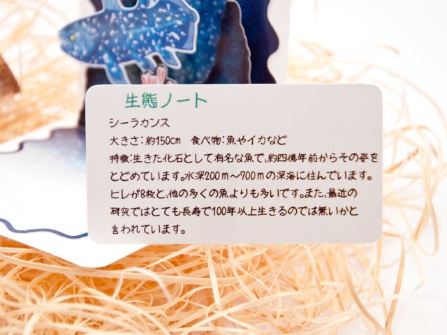 シーラカンス ミニポップアップカード
