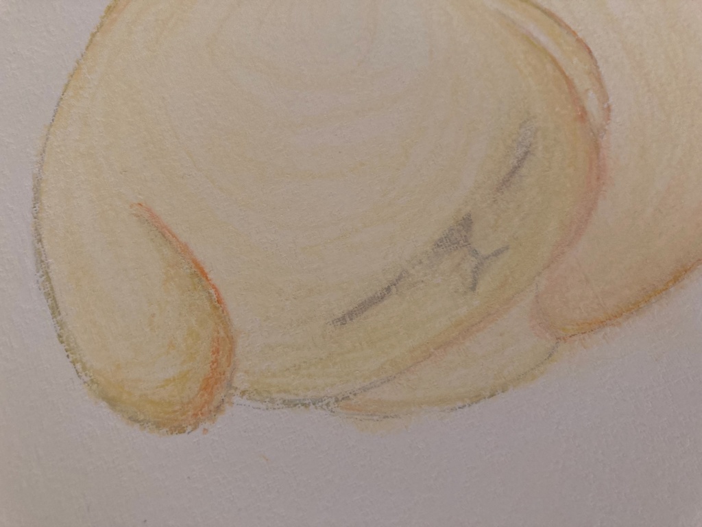 パステル画「ふくら」