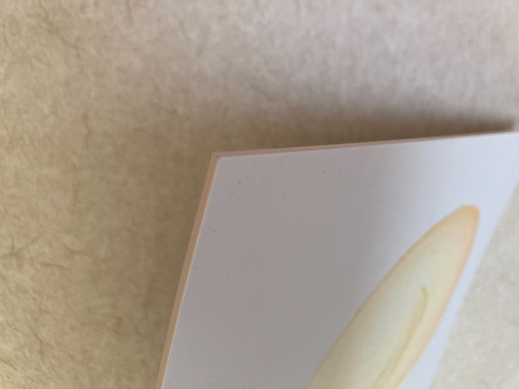 パステル画「ふくら」