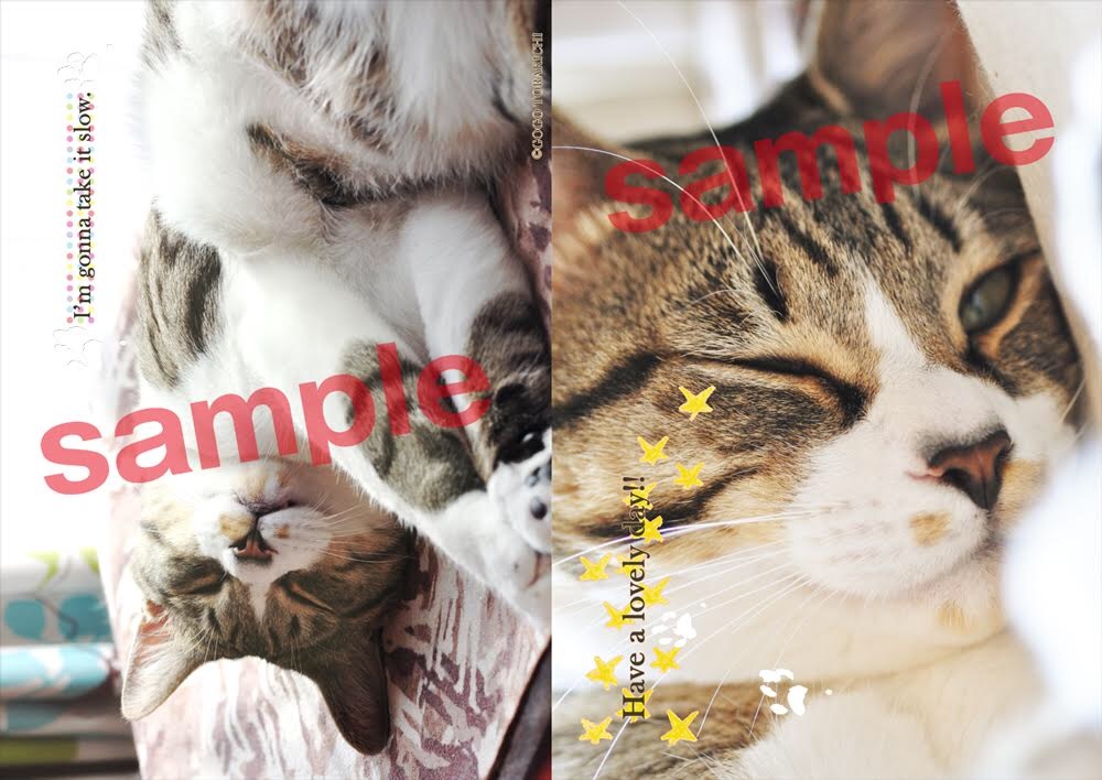 クリアファイルA
