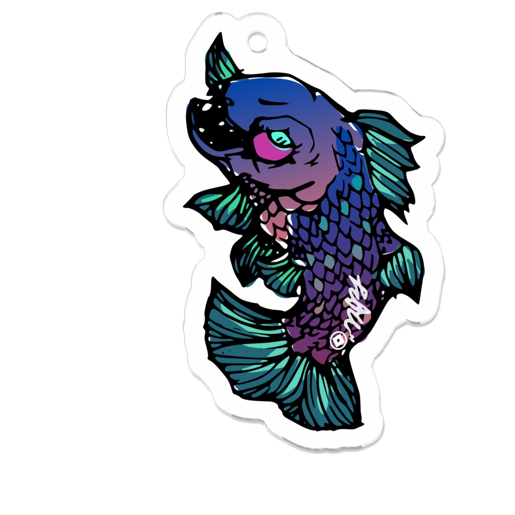 The Coelacanthiformes