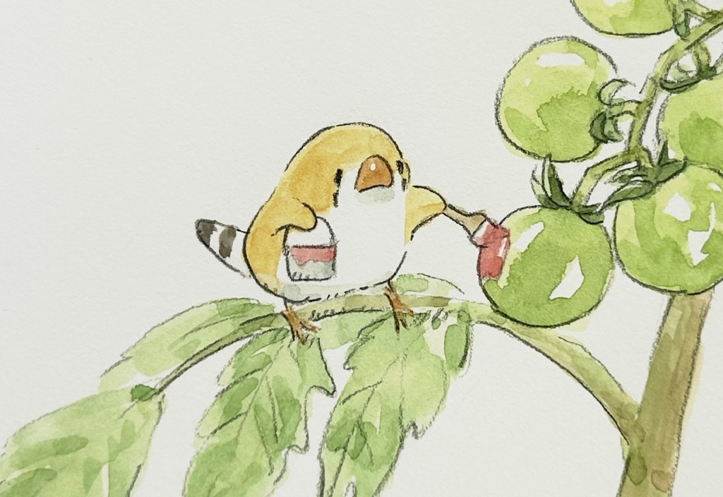 トマトの仕事？