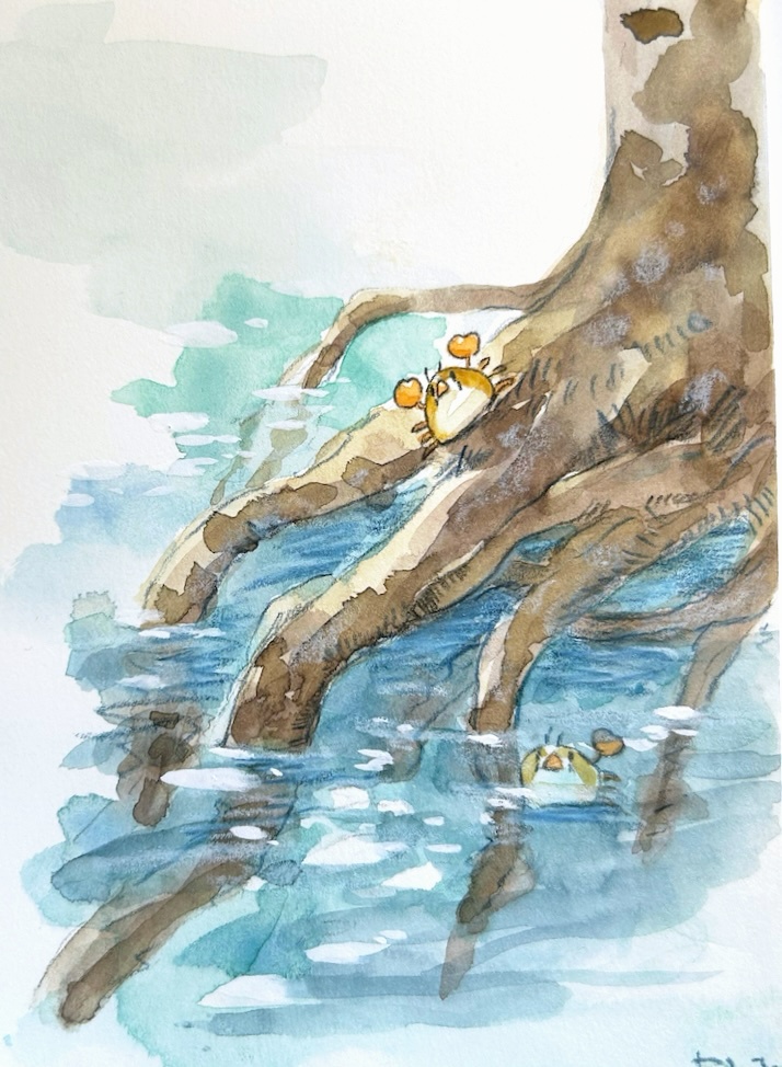 水辺の木の根に住む