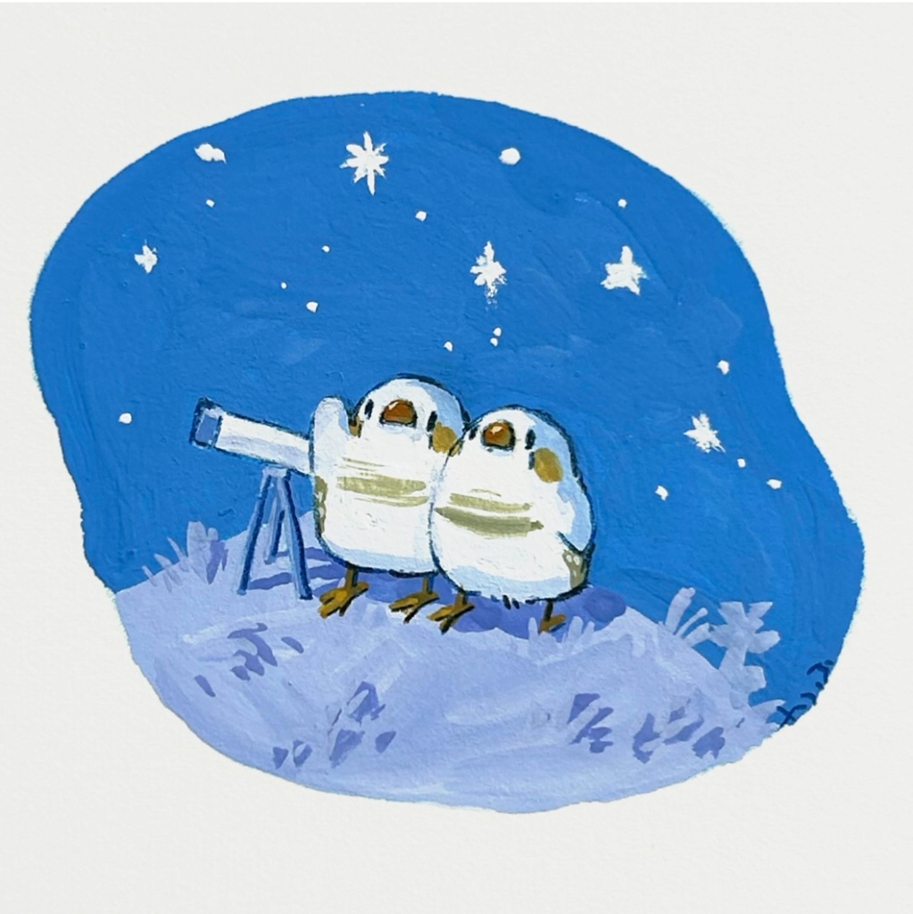 夜のキンカたち