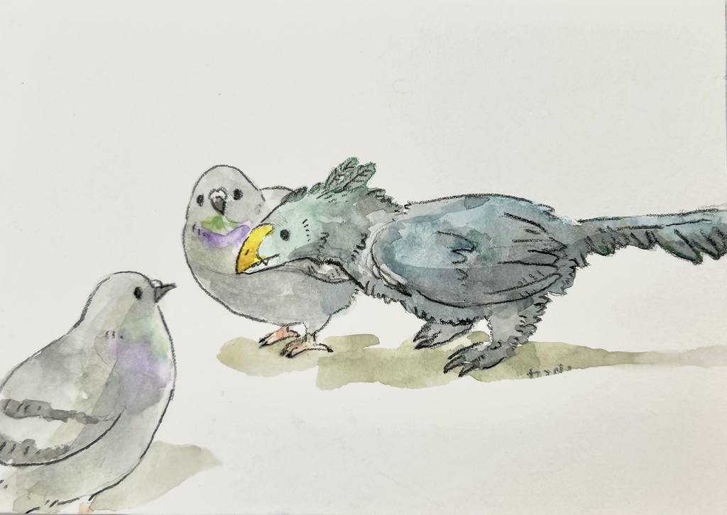 鳩ポに詰められる始祖鳥