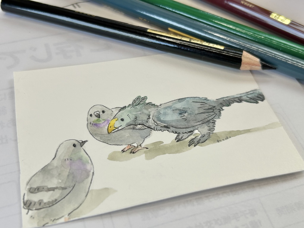 鳩ポに詰められる始祖鳥