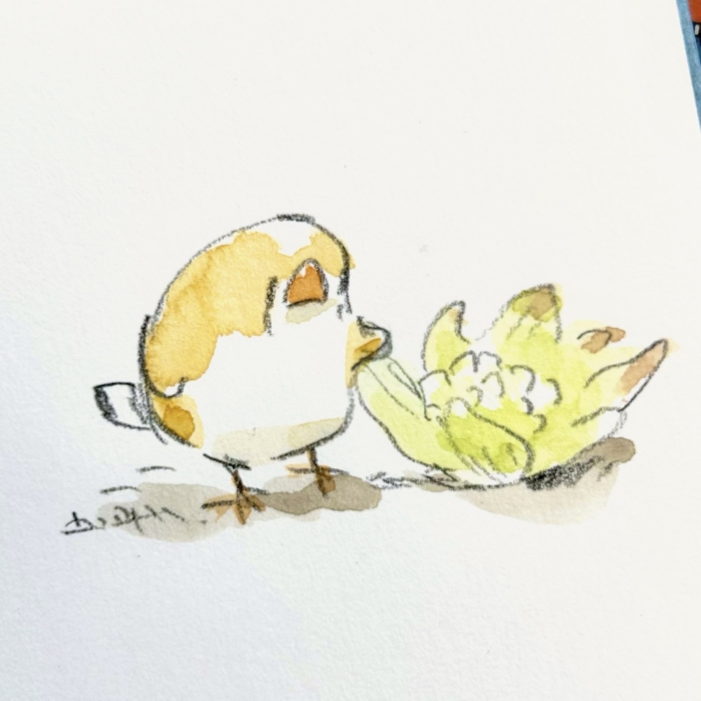 気ままスケッチ原画たち（額付き）